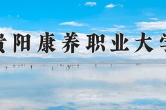2024年贵阳康养职业大学录取分数线：重庆最低498分