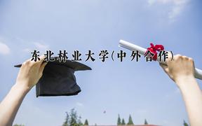 东北林业大学(中外合作)2024在重庆录取分数线：最低521分（含各专业录取最低分）