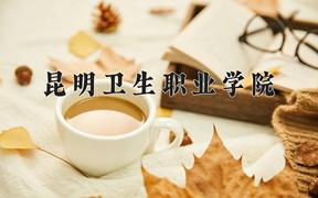 2024年昆明卫生职业学院录取分数线：重庆最低180分