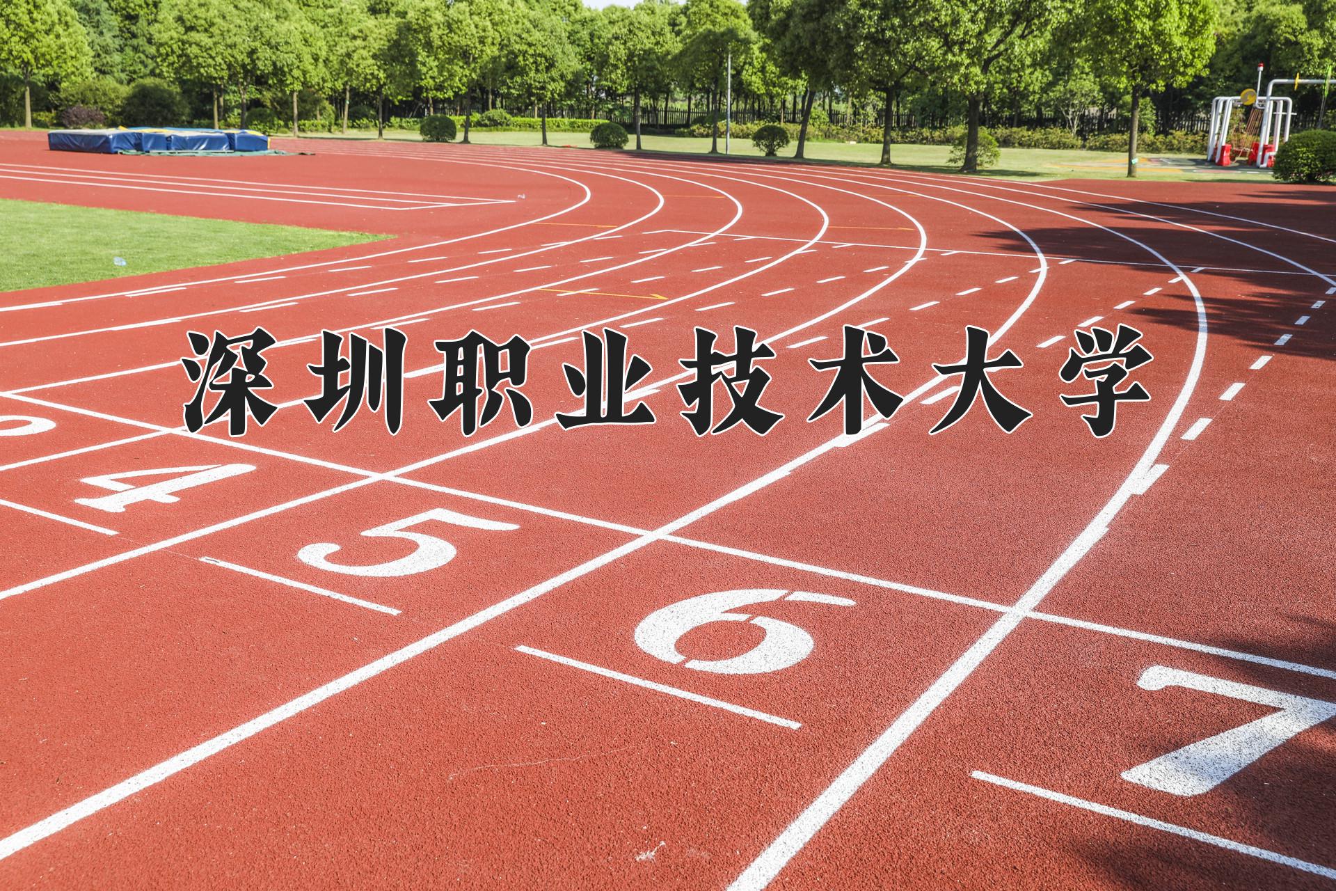 深圳职业技术大学