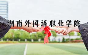 2024年湖南外国语职业学院录取分数线：重庆最低180分