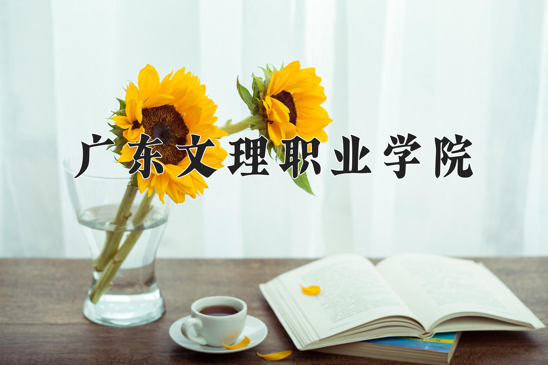 广东文理职业学院