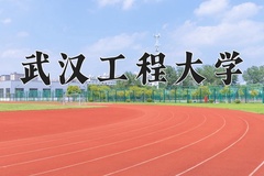2024年武汉工程大学录取分数线：重庆最低542分