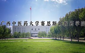 2024年广西中医药大学赛恩斯新医药学院录取分数线：重庆最低487分