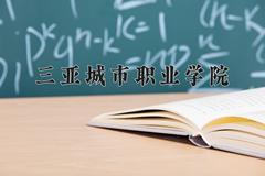 2024年三亚城市职业学院录取分数线：重庆最低180分