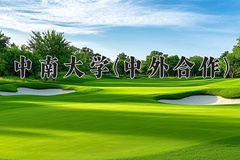 中南大学(中外合作)2024在重庆录取分数线：最低608分（含各专业录取最低分）