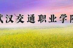2024年武汉交通职业学院录取分数线：重庆最低361分