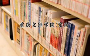 重庆文理学院(定向)2024在重庆录取分数线：最低548分（含各专业录取最低分）