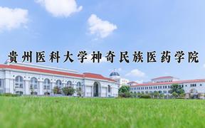 2024年贵州医科大学神奇民族医药学院录取分数线：重庆最低539分