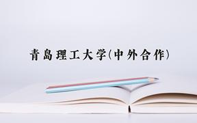 青岛理工大学(中外合作)2024在重庆录取分数线：最低499分（含各专业录取最低分）