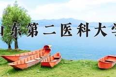 2024年山东第二医科大学录取分数线：重庆最低543分