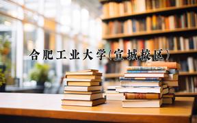 2024年合肥工业大学(宣城校区)录取分数线：重庆最低564分