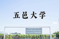 2024年五邑大学录取分数线：重庆最低534分