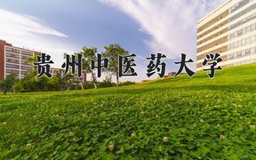 2024年贵州中医药大学录取分数线：重庆最低534分