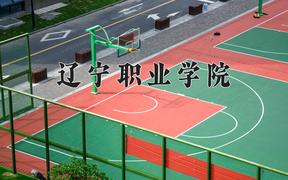 2024年辽宁职业学院录取分数线：重庆最低327分