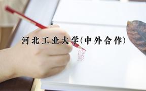 河北工业大学(中外合作)2024在重庆录取分数线：最低547分（含各专业录取最低分）