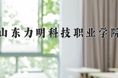 2024年山东力明科技职业学院录取分数线：重庆最低308分
