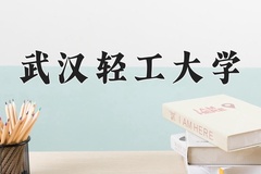 2024年武汉轻工大学录取分数线：重庆最低520分