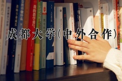 成都大学(中外合作)2024在重庆录取分数线：最低423分（含各专业录取最低分）