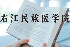2024年右江民族医学院录取分数线：重庆最低498分