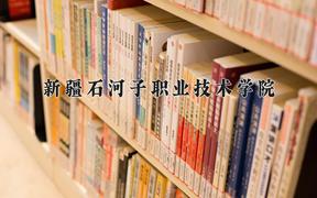 2024年新疆石河子职业技术学院取分数线：重庆最低233分