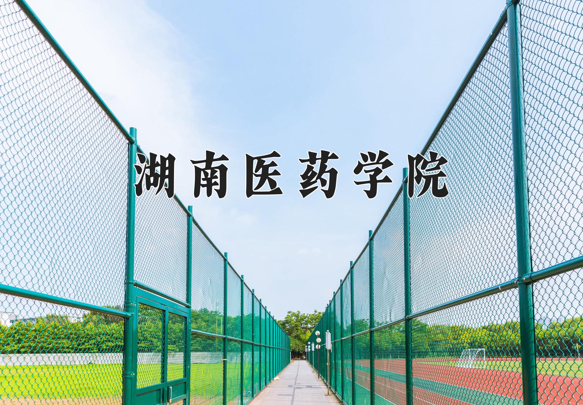 湖南医药学院