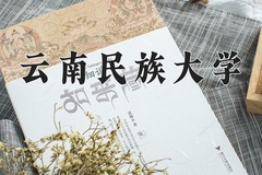 2024年云南民族大学录取分数线：重庆最低495分