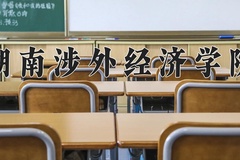 2024年湖南涉外经济学院录取分数线：重庆最低428分