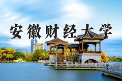 2024年安徽财经大学录取分数线：重庆最低520分