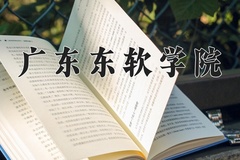 2024年广东东软学院录取分数线：重庆最低430分