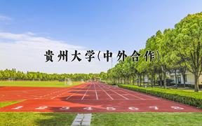 贵州大学(中外合作)2024在重庆录取分数线：最低515分（含各专业录取最低分）