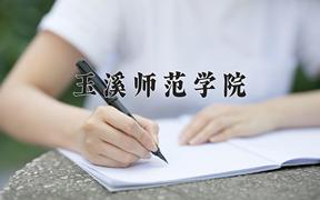 2024年玉溪师范学院录取分数线：重庆最低501分