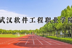 2024年武汉软件工程职业学院录取分数线：重庆最低418分