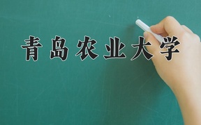 马业科学专业大学排名（2024前三强最新大学排名）