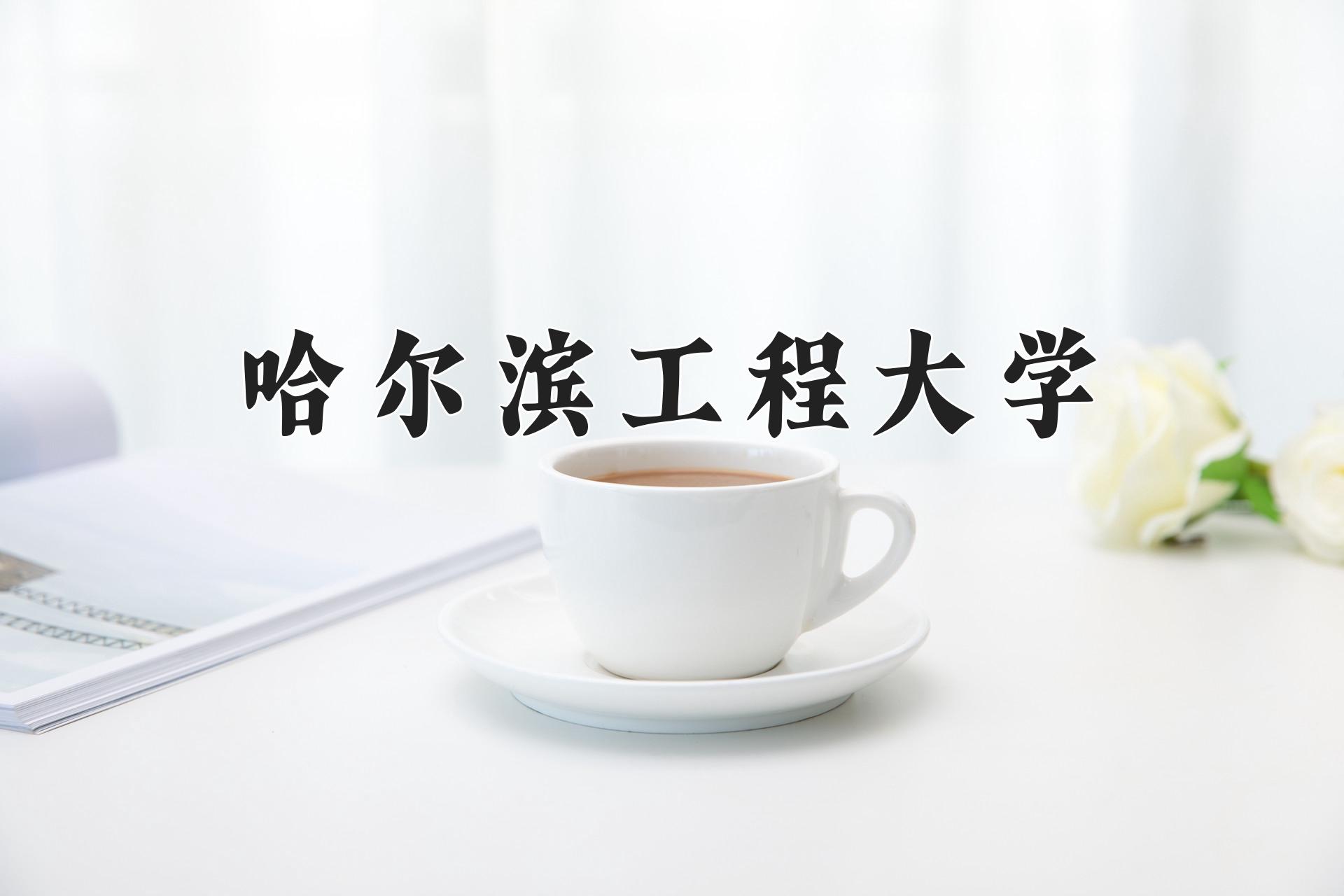 哈尔滨工程大学