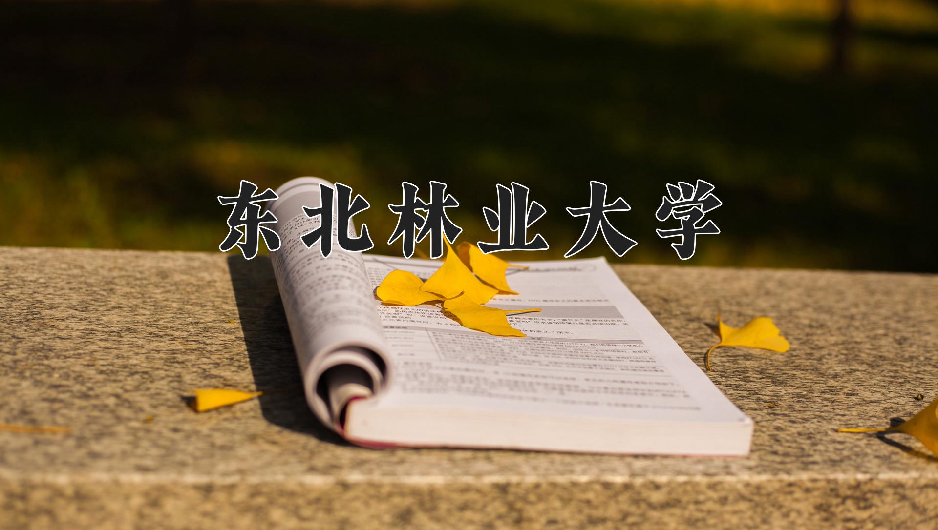 东北林业大学