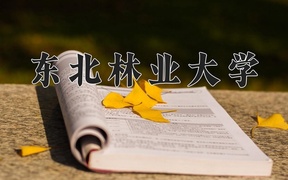 森林工程专业大学排名（2024前三强最新大学排行榜）