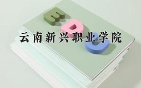 2024云南新兴职业学院录取分数线：河北最低251分