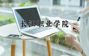 2024长江职业学院录取分数线：河北最低402分