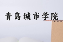 2024青岛城市学院录取分数线：河北最低462分