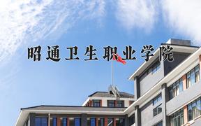 2024昭通卫生职业学院录取分数线：河北最低344分