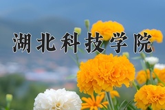 2024湖北科技学院录取分数线：河北最低514分