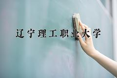 2024辽宁理工职业大学录取分数线：河北最低448分