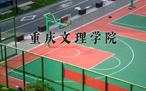 2024重庆文理学院录取分数线：河北最低475分