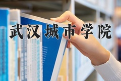 2024武汉城市学院录取分数线：河北最低471分