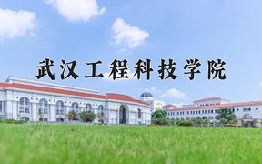 2024武汉工程科技学院录取分数线：河北最低287分