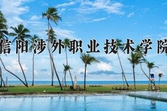 2024信阳涉外职业技术学院录取分数线：河北最低270分