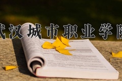 2024武汉城市职业学院录取分数线：河北最低418分