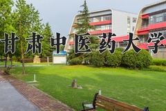 2024甘肃中医药大学录取分数线：河北最低506分