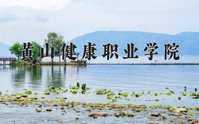 2024黄山健康职业学院录取分数线：河北最低291分